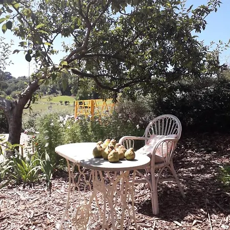 Paca Casa Rural. Arts And Landscape In Asturias *