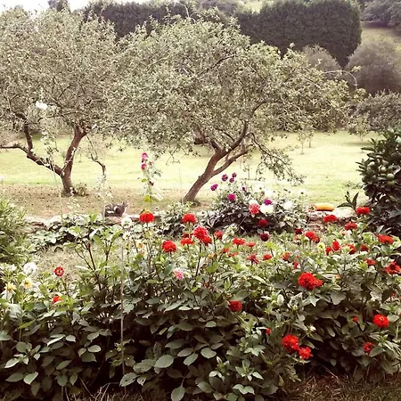 Paca Casa Rural. Arts And Landscape In Asturias Gijón