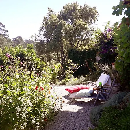 Paca Casa Rural. Arts And Landscape In Asturias Ferienhaus *