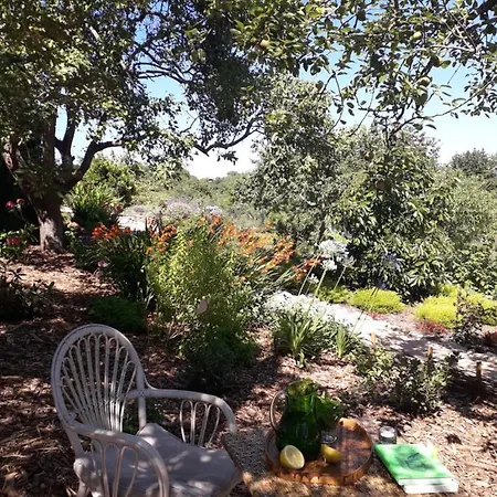 Paca Casa Rural. Arts And Landscape In Asturias Ferienhaus Gijón