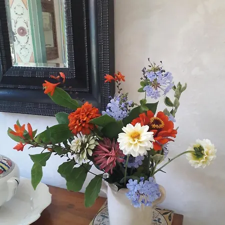 Paca Casa Rural. Arts And Landscape In Asturias * Gijón