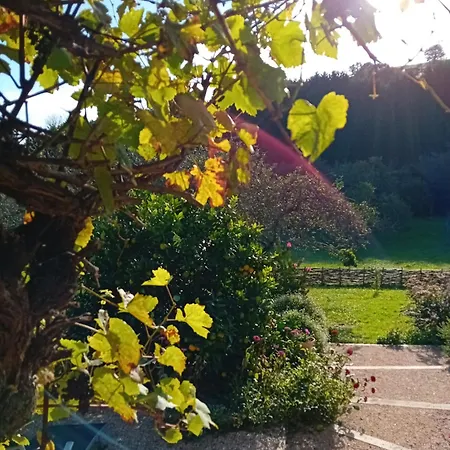 Paca Casa Rural. Arts And Landscape In Asturias * Gijón