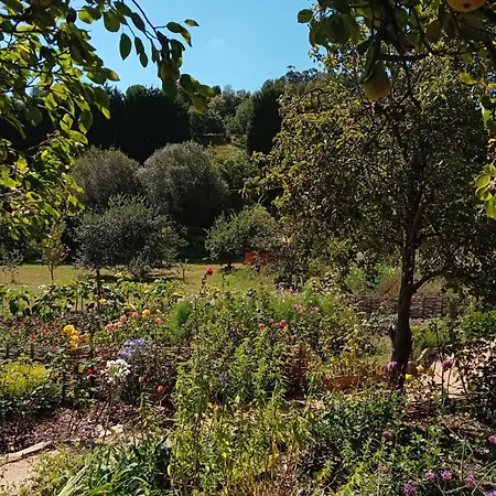 Paca Casa Rural. Arts And Landscape In Asturias Feriehus