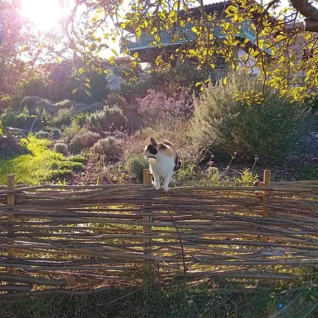 Ferienhaus Paca Casa Rural. Arts And Landscape In Asturias *