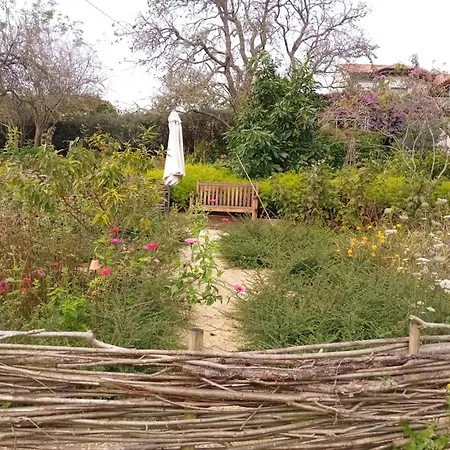 Ferienhaus Paca Casa Rural. Arts And Landscape In Asturias *