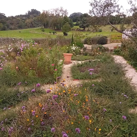 Feriehus Paca Casa Rural. Arts And Landscape In Asturias Gijón