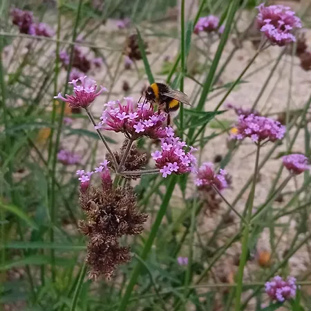 Paca Casa Rural. Arts And Landscape In Asturias Ferienhaus *