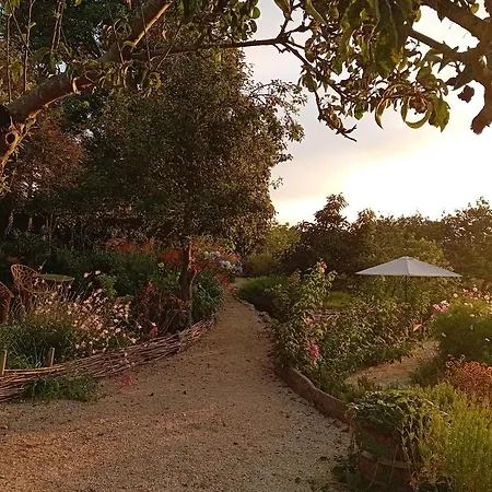 Paca Casa Rural. Arts&landscape In Asturias Gijón