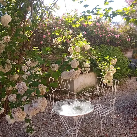 Paca Casa Rural. Arts&landscape In Asturias Gijón