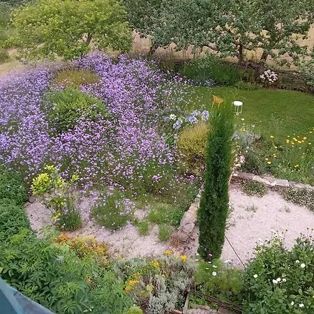 Paca Casa Rural. Arts And Landscape In Asturias Ferienhaus Gijón