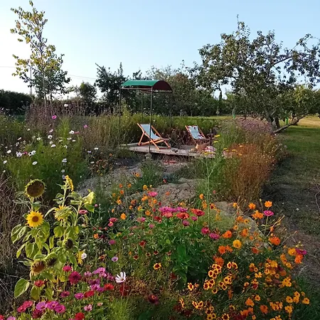 Сasa de vacaciones Paca Casa Rural. Arts&landscape In Asturias