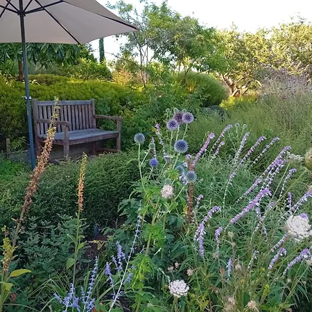 Сasa de vacaciones Paca Casa Rural. Arts&landscape In Asturias *