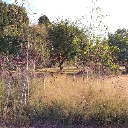 Paca Casa Rural. Arts And Landscape In Asturias Ferienhaus Gijón