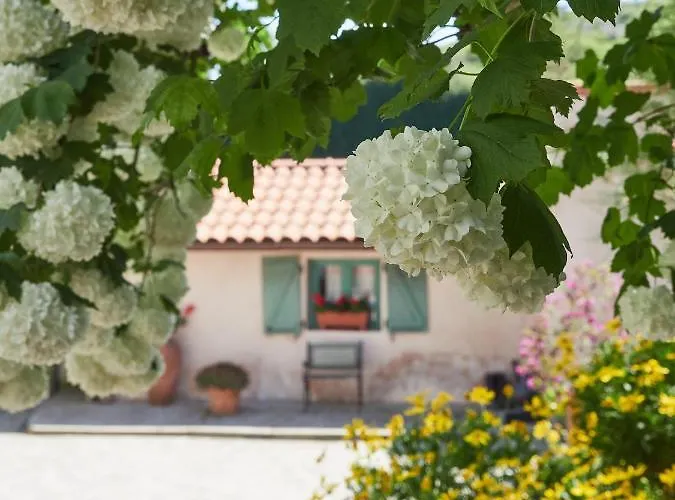Nyaraló Paca Casa Rural. Arts And Landscape In Asturias *