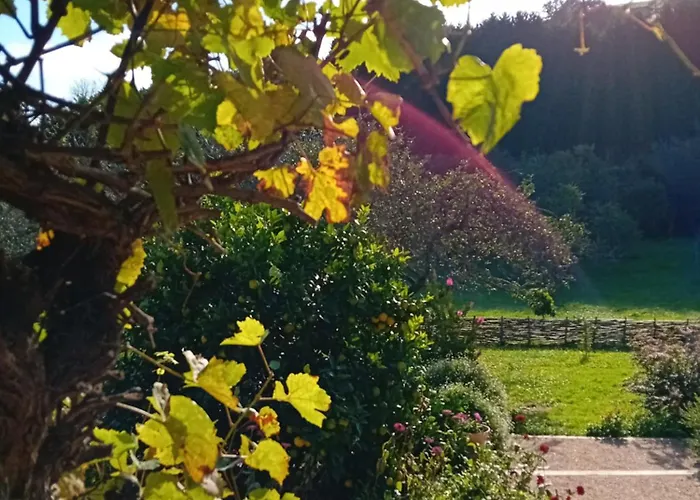 Paca Casa Rural. Arts And Landscape In Asturias * Gijón